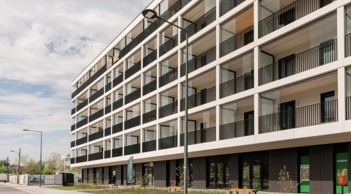 25446314