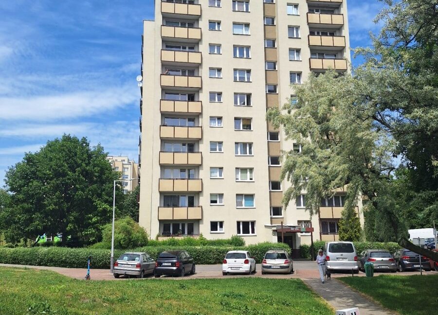 25459014