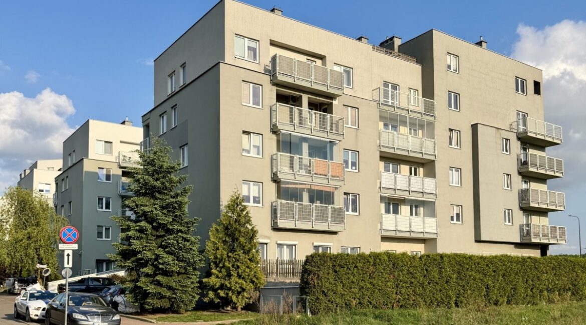 25479054