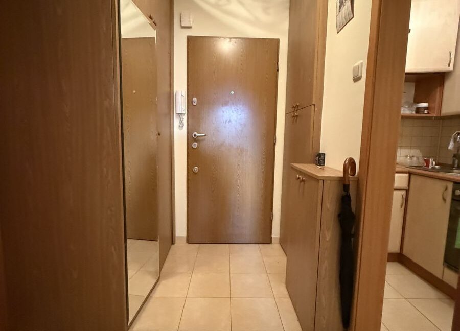 25487819