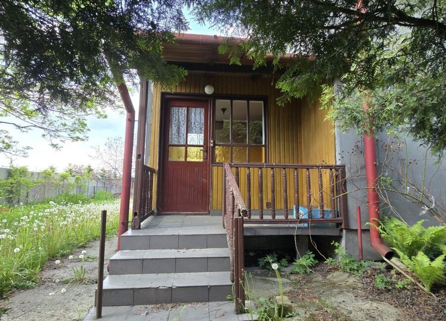 25495610