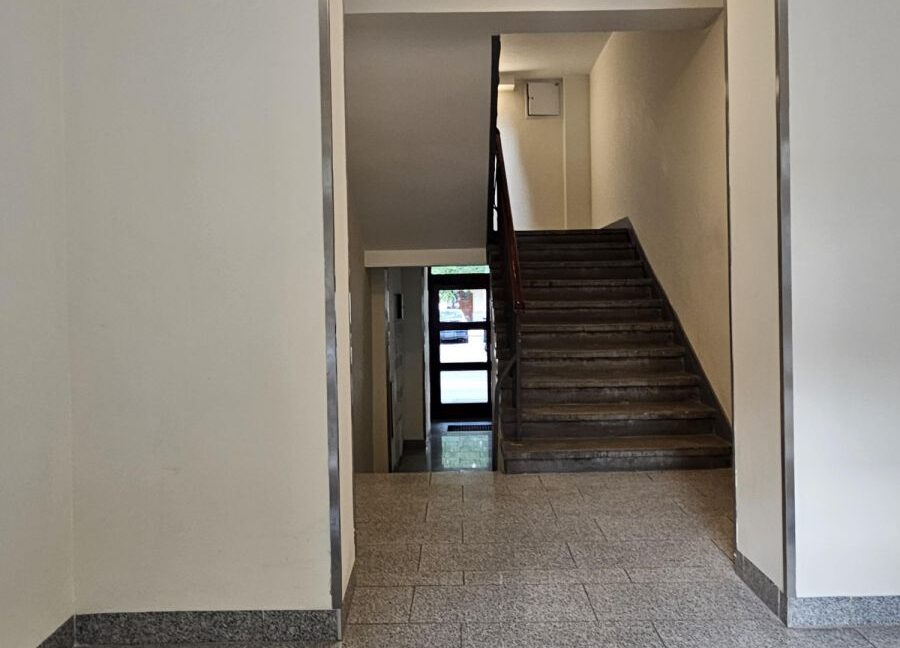 25499729