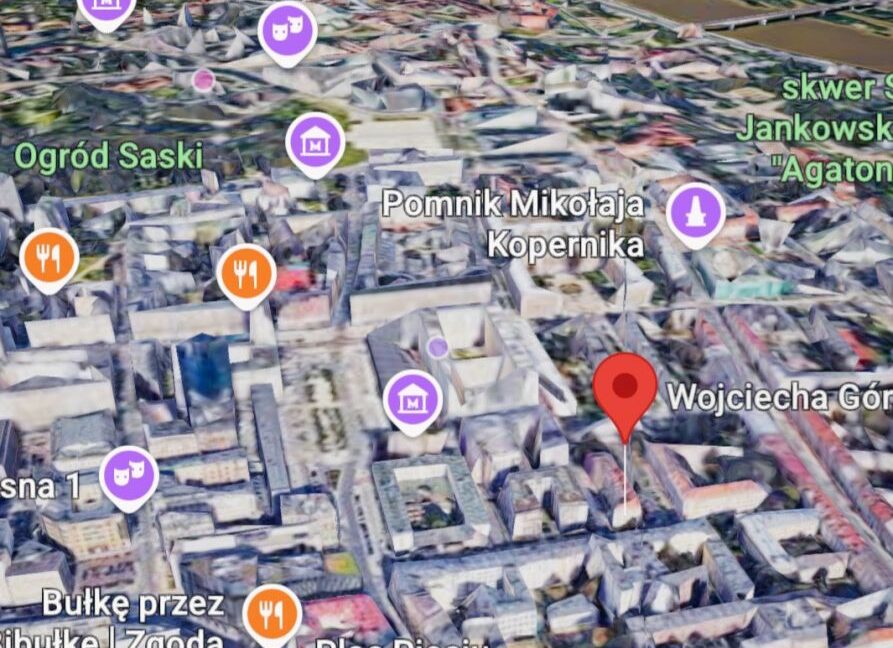 25499733
