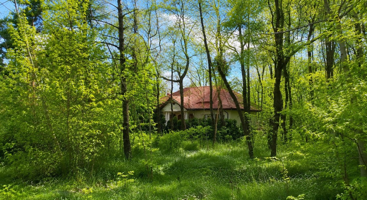 Działka przy lesie , blisko przystanek WKD