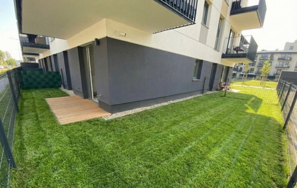 25514036
