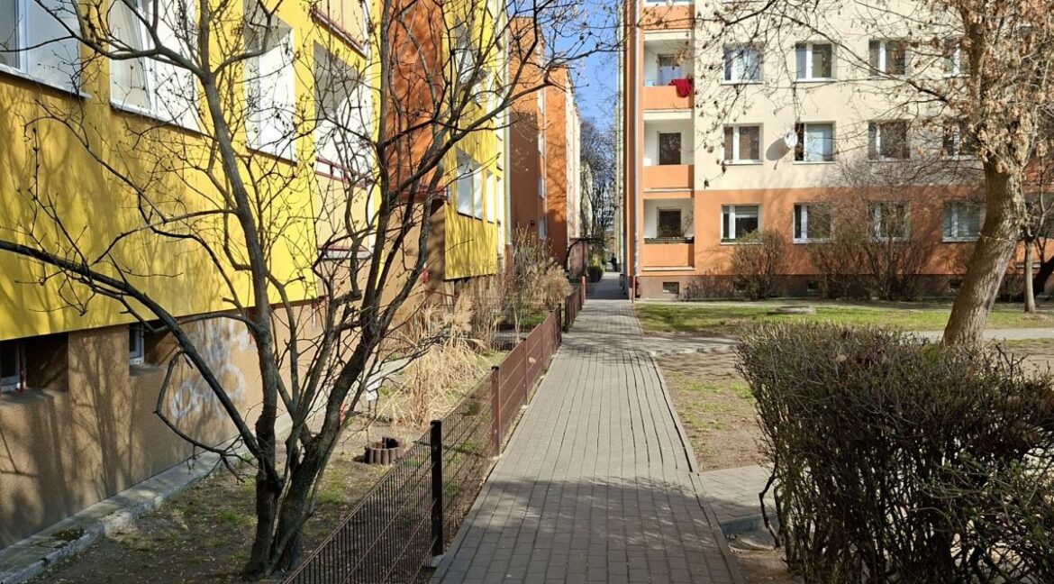 25535849
