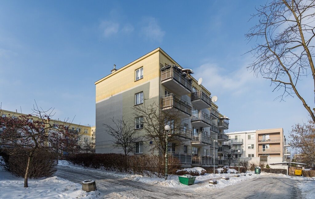 25539991