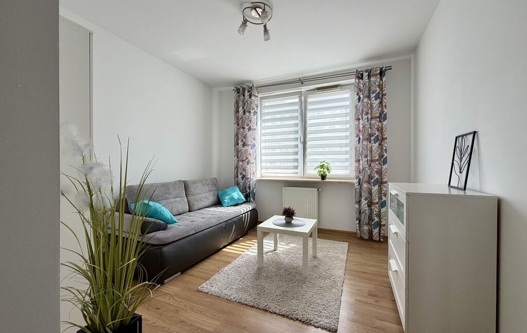 25545418