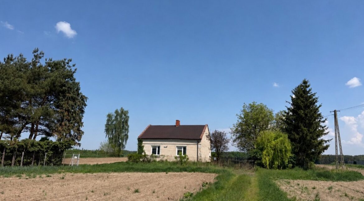 25596162