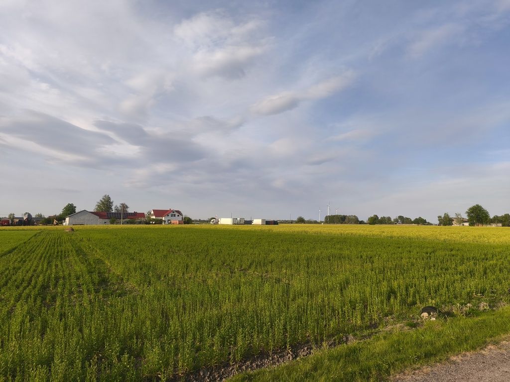 Działka Wola Miedniewska 2999m2 z WZ – OKAZJA!