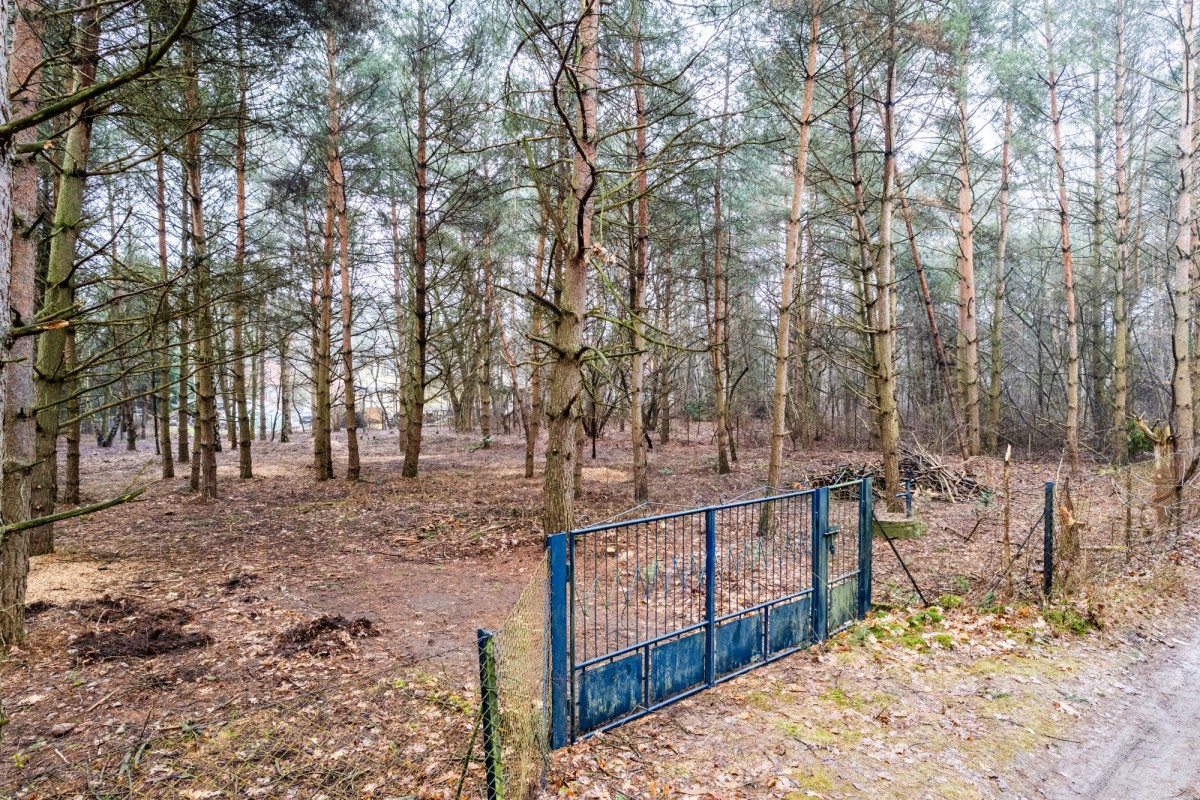 Piękna działka wśród drzew