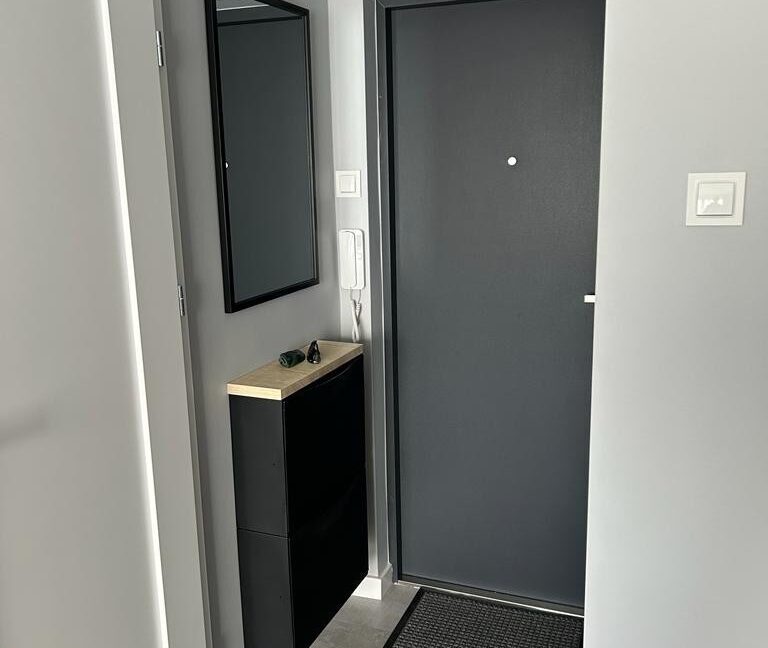 25263129