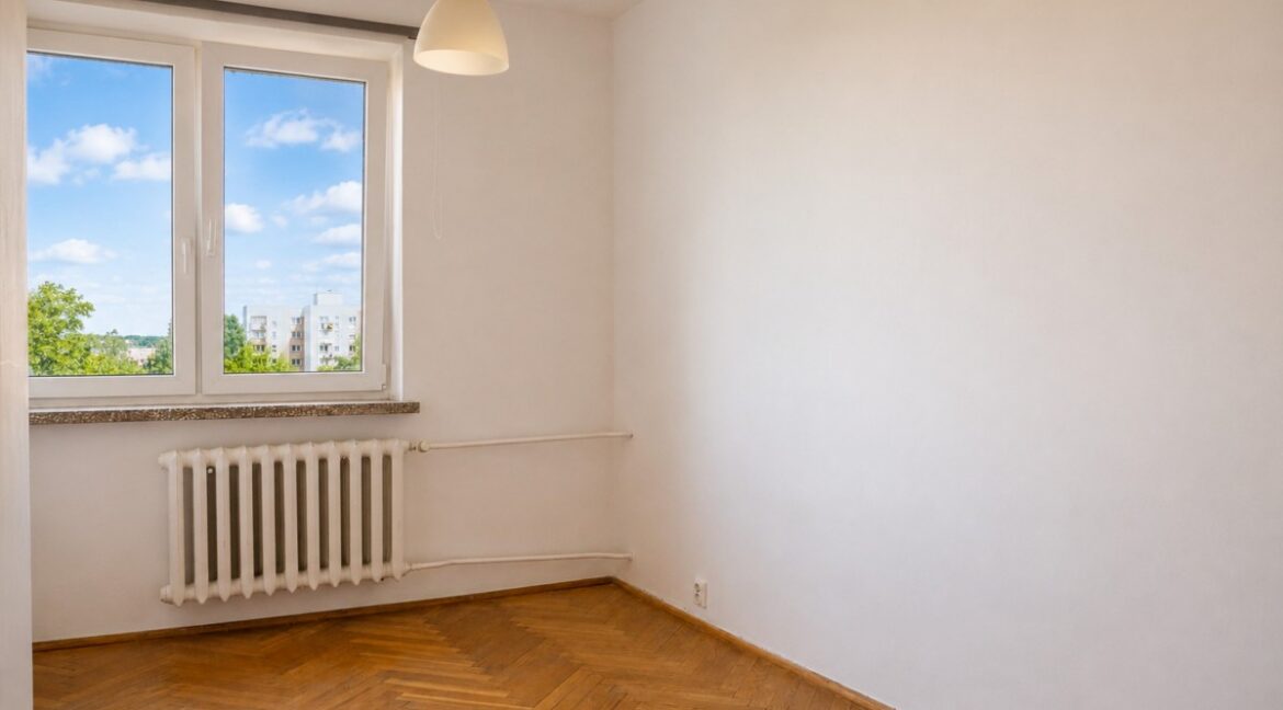 25503145