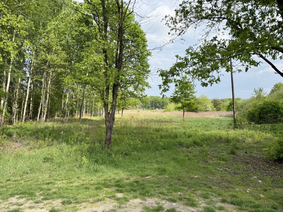 KOMORÓW nad rzeką – Premiera i Spacer Przyrodniczy