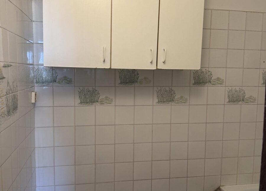 25566819