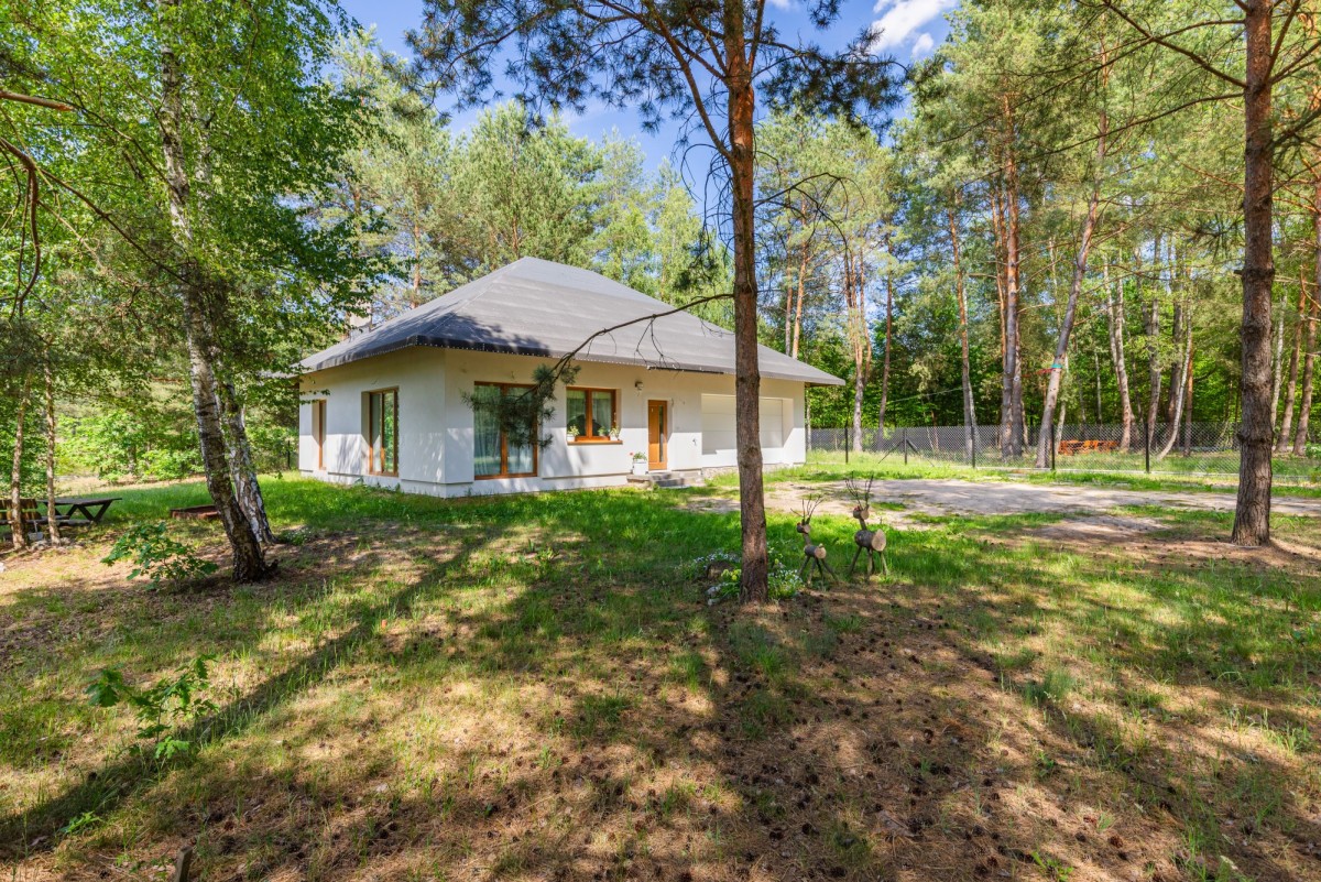 Dom w lesie z dużą działką, blisko trasy S17