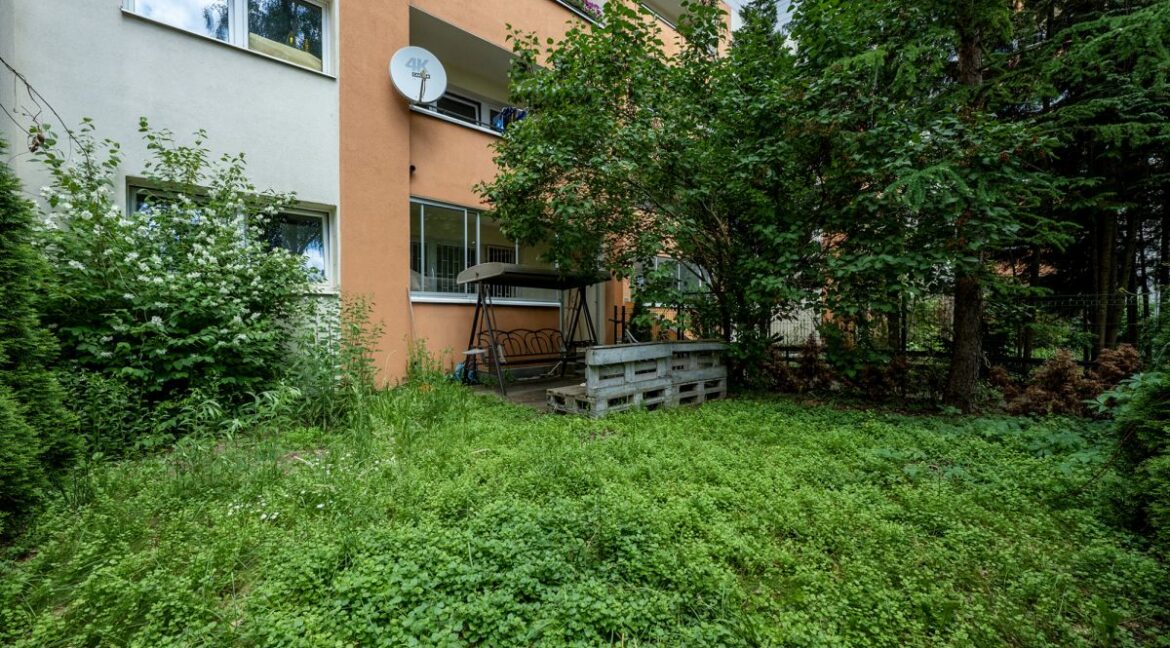 25641660