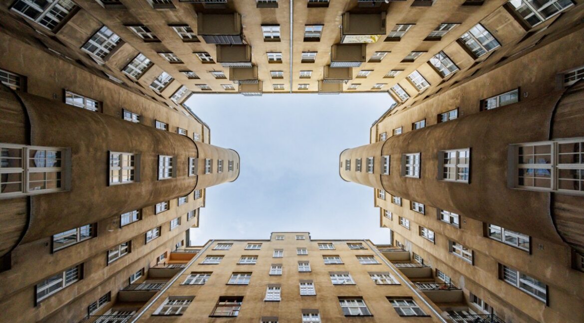25650377