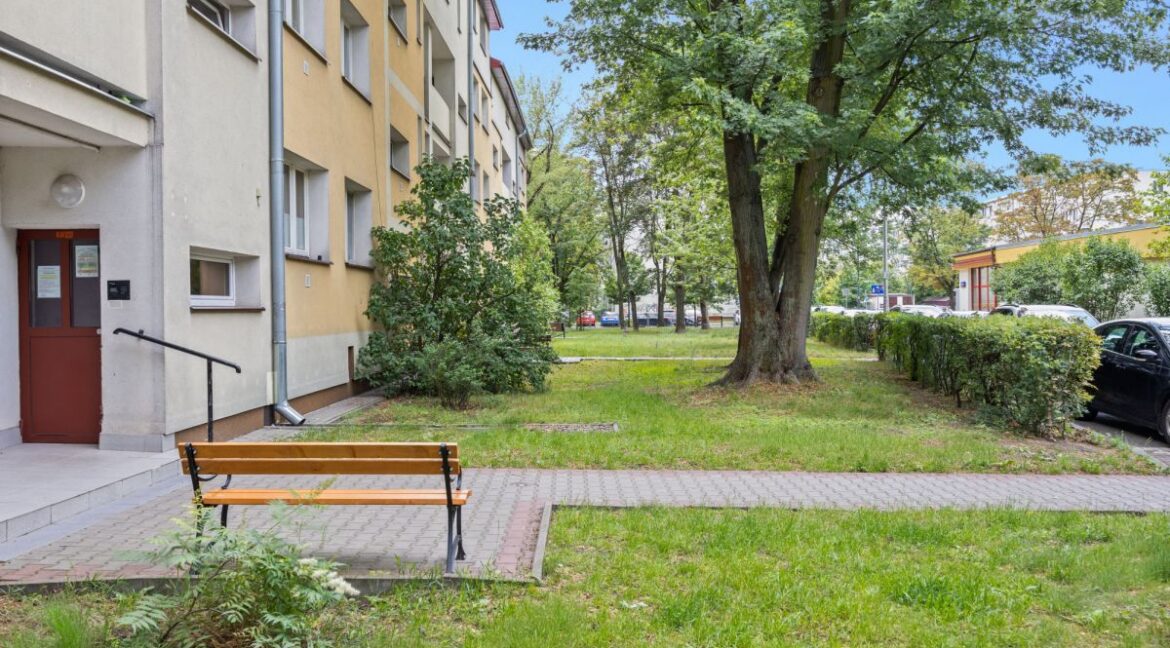 25683554