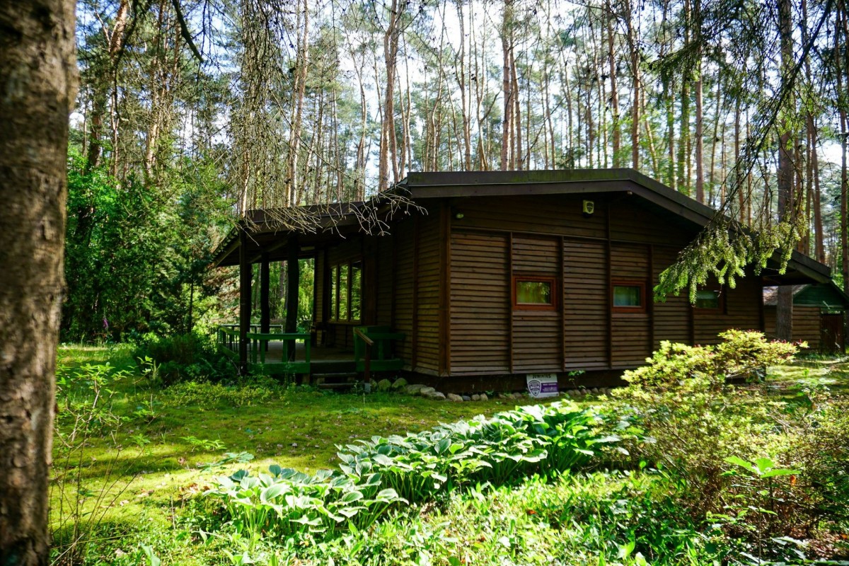 Leśna działka 2100 m² z domkiem | Radziejowice