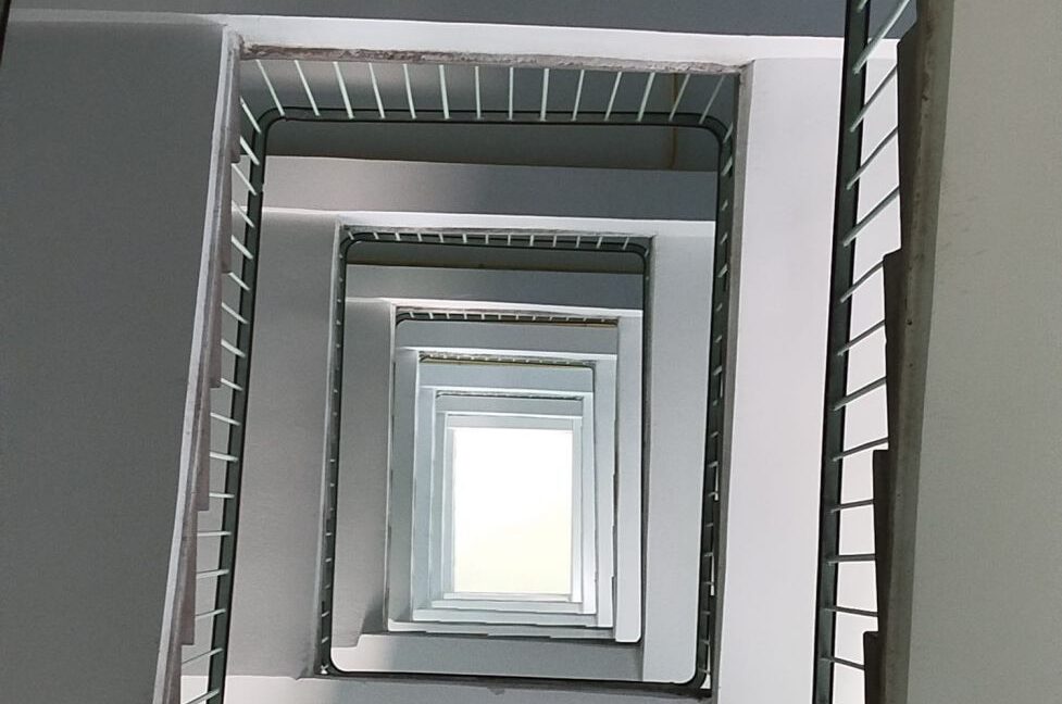 25771175