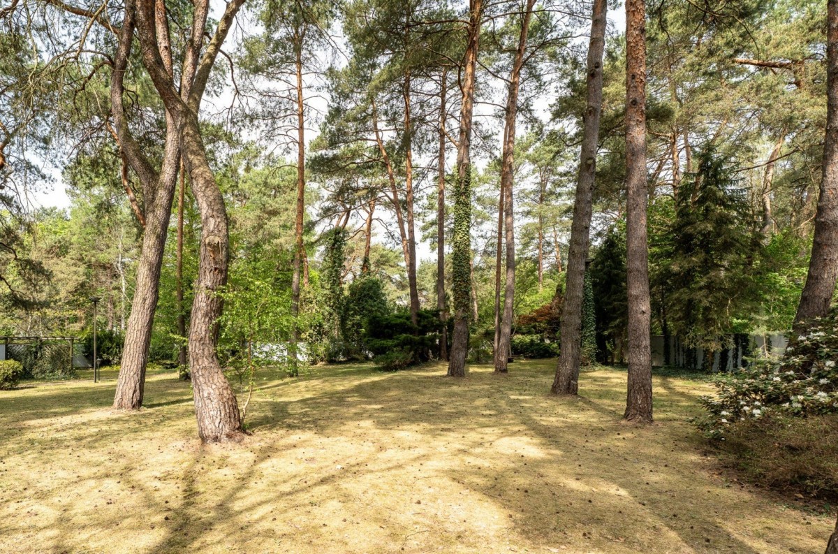 Starodrzew, park leśny | MPZP | pow.zab. do 780 m2