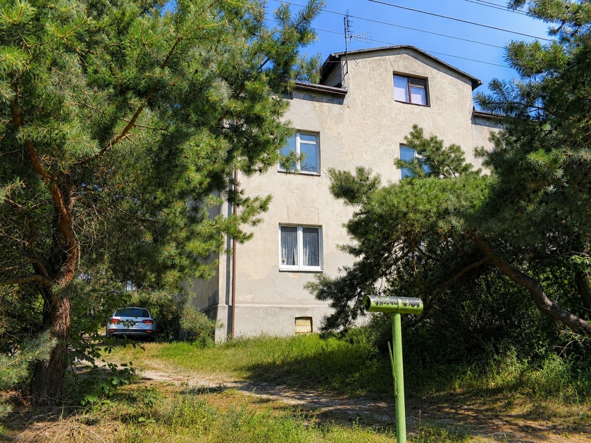 Własny las | 1869 m² zieleni | Międzyborów