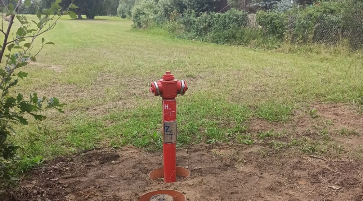 3981103