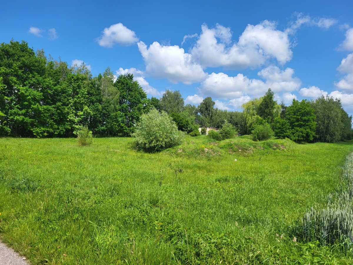 Działka 6400 m² sprzedaż Elżbietów, gmina Teresin