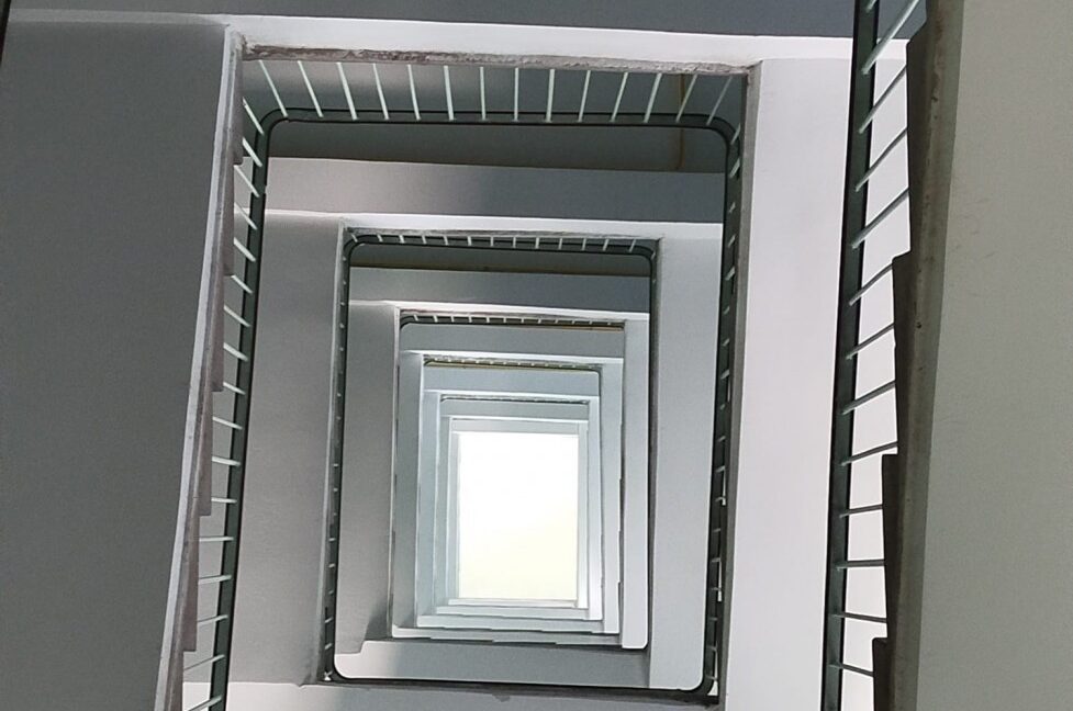 25771175