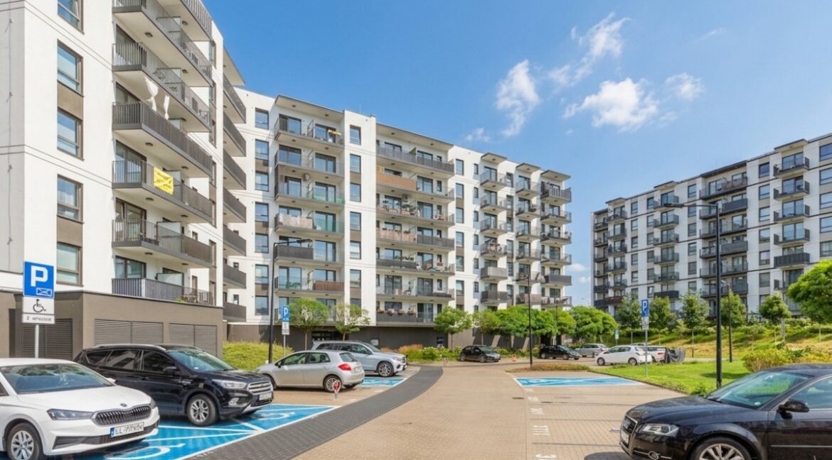 25905413