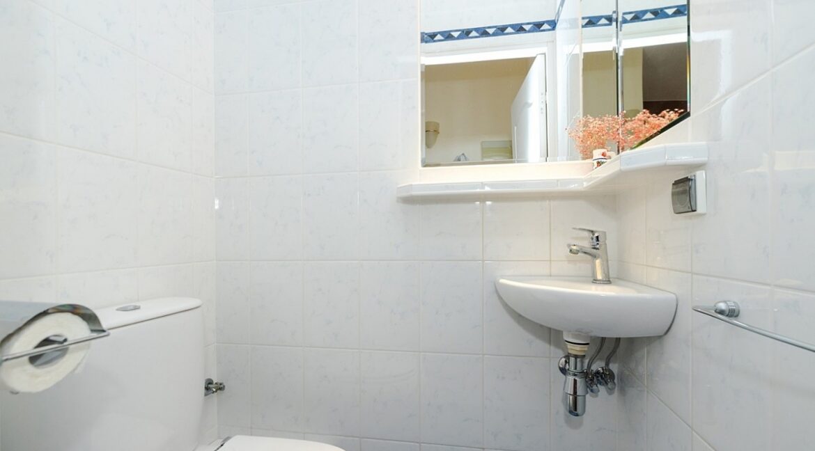 25939083