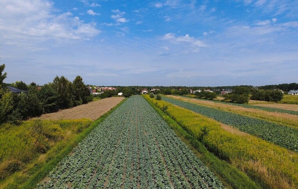 25995496