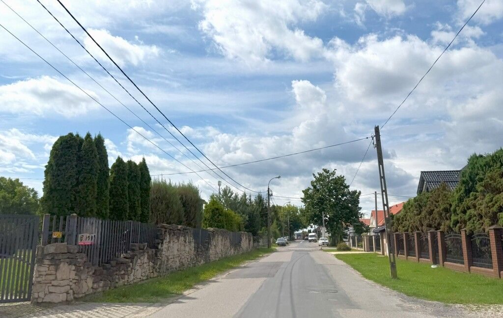 25995503