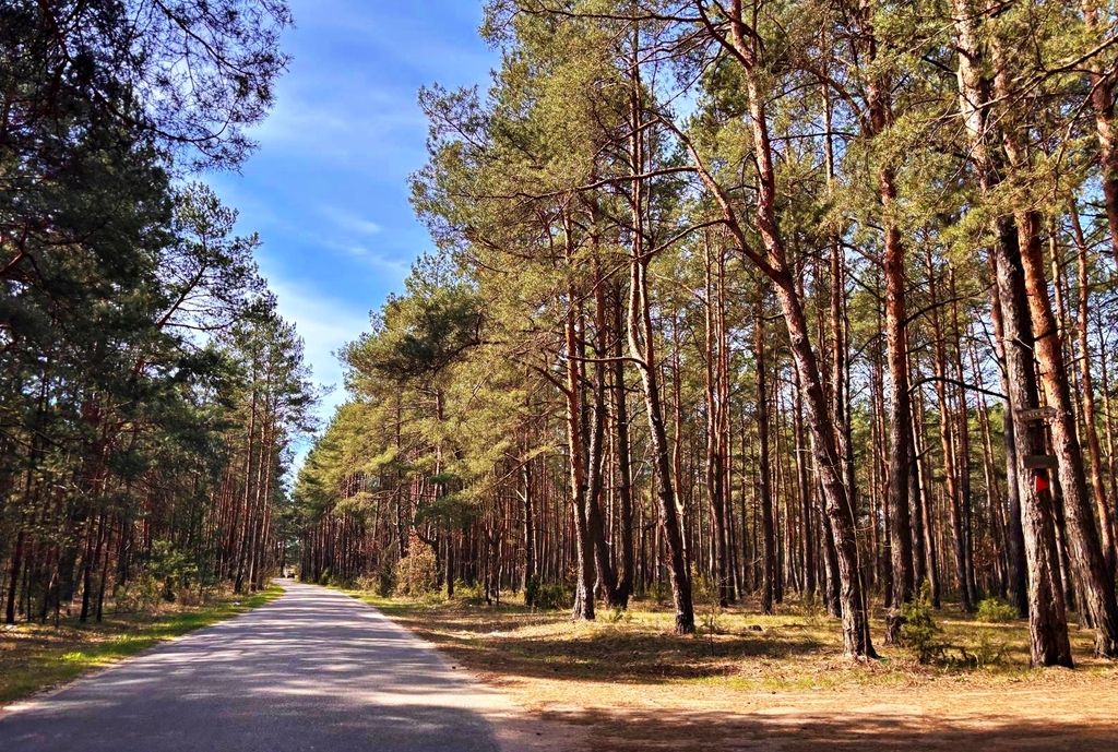 Działki w Kalinowie, Gmina Długosiodło