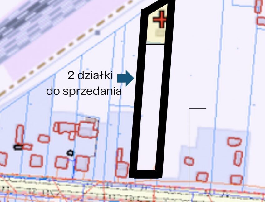 24369601