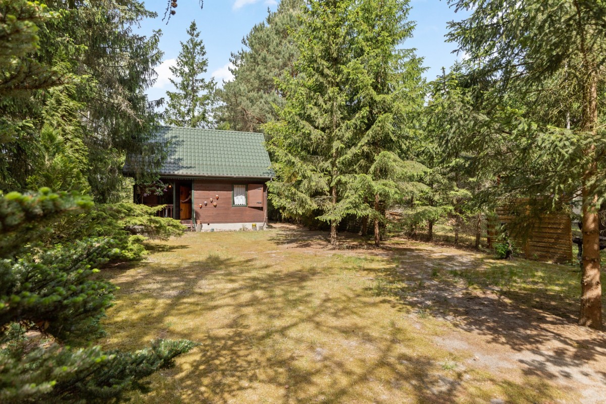 Domek letniskowy – Rezerwat – Starorzecze Bugu