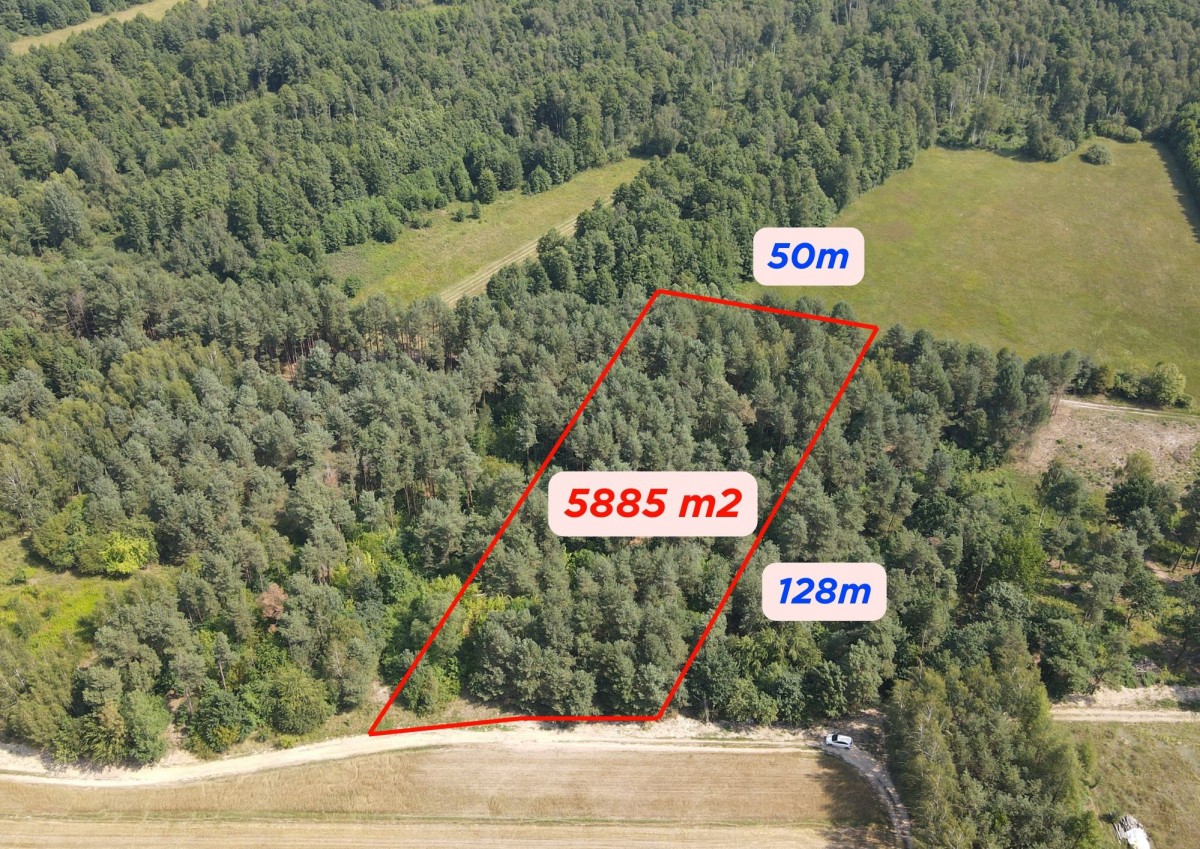 Dziecinów | działka rolna 5 885 m² | spokojna, zie