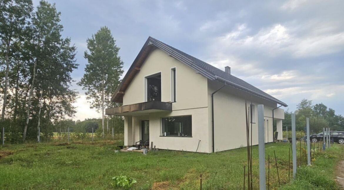 26258146