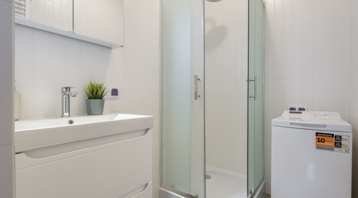 26292541