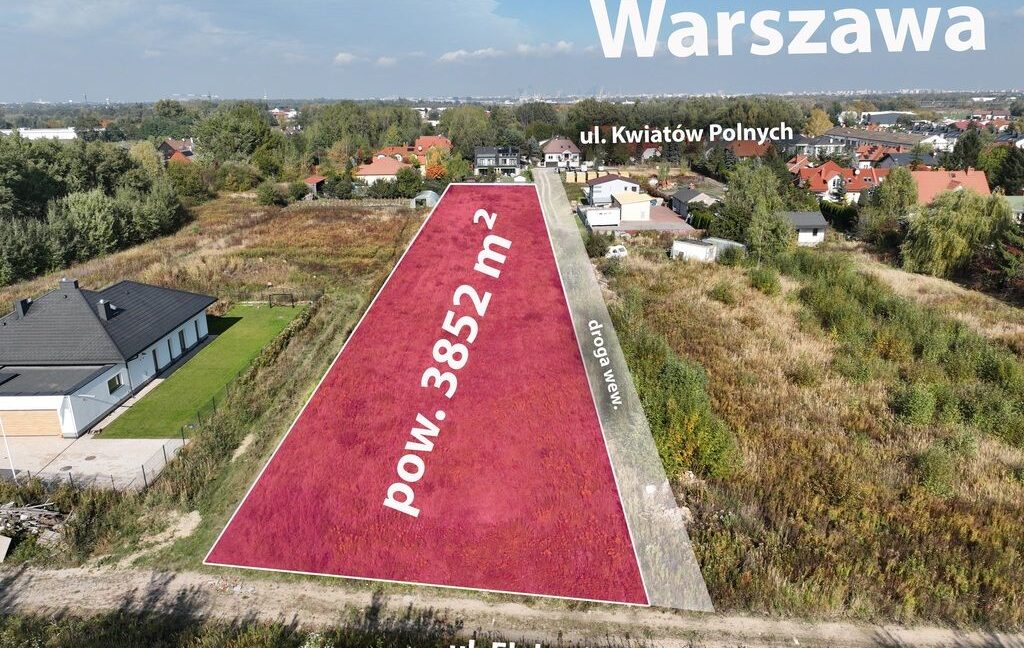 26293276