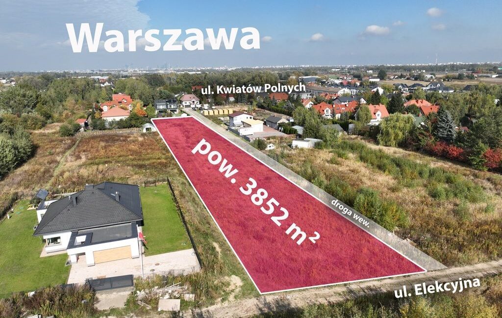 26293278