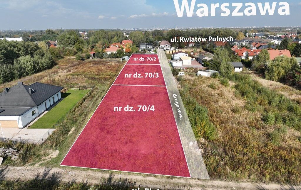 26293281