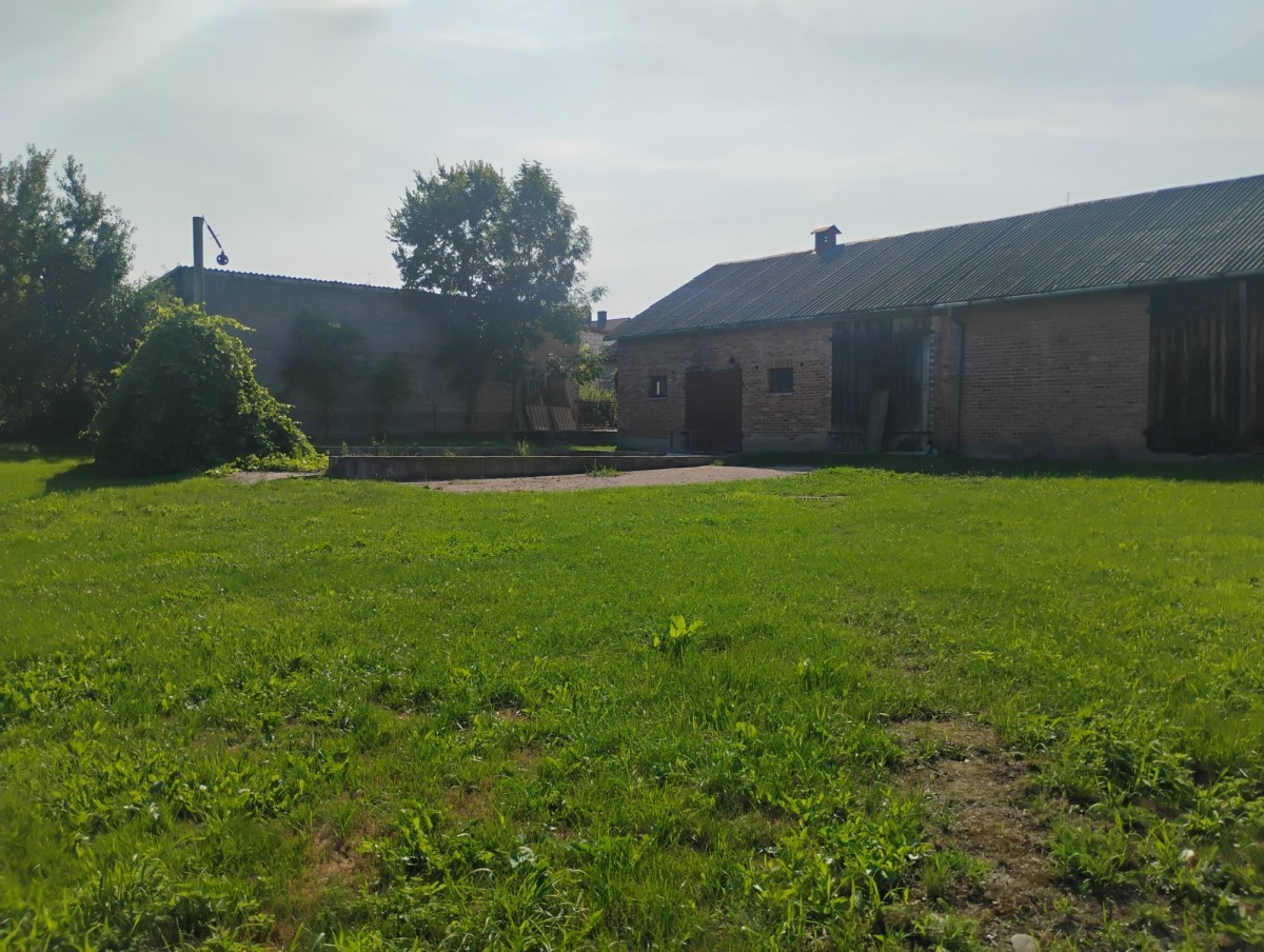 Działka 1236 m² | Andrzejewo