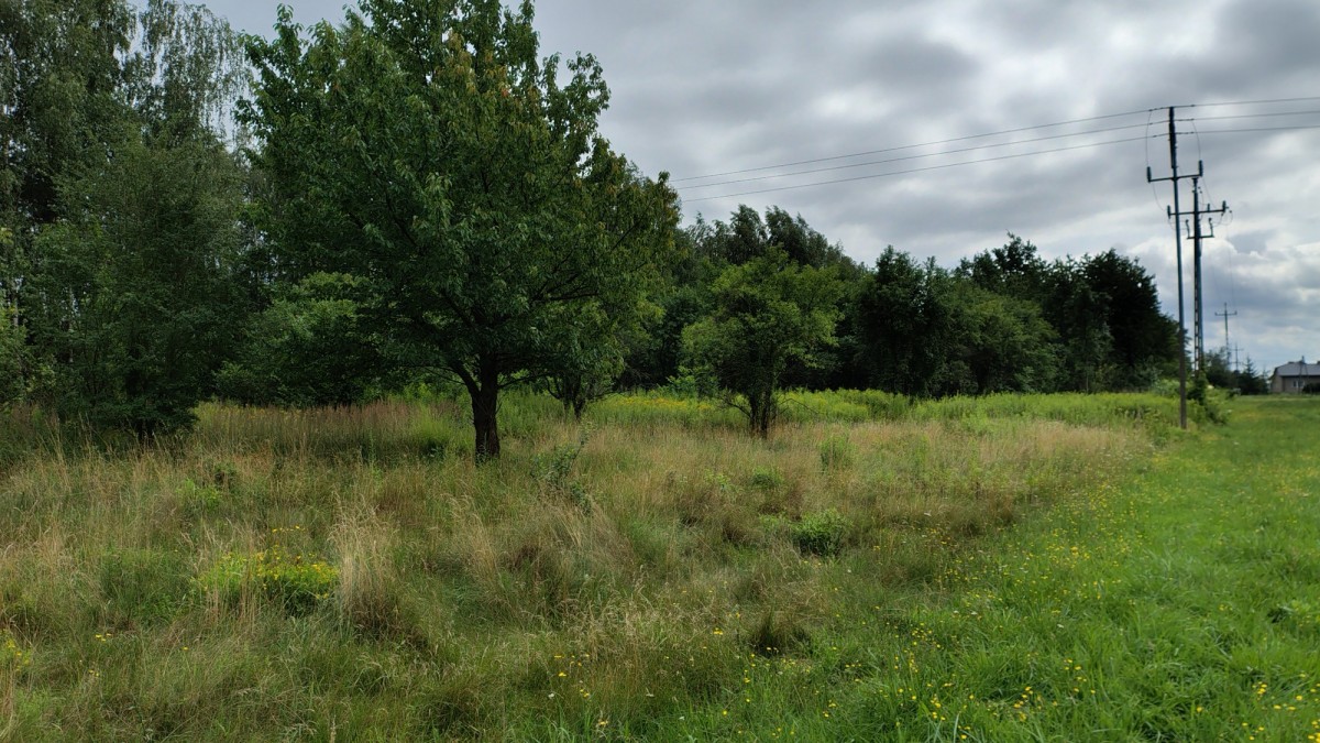 Okazja gm.Kampinos  3 działki budowlane