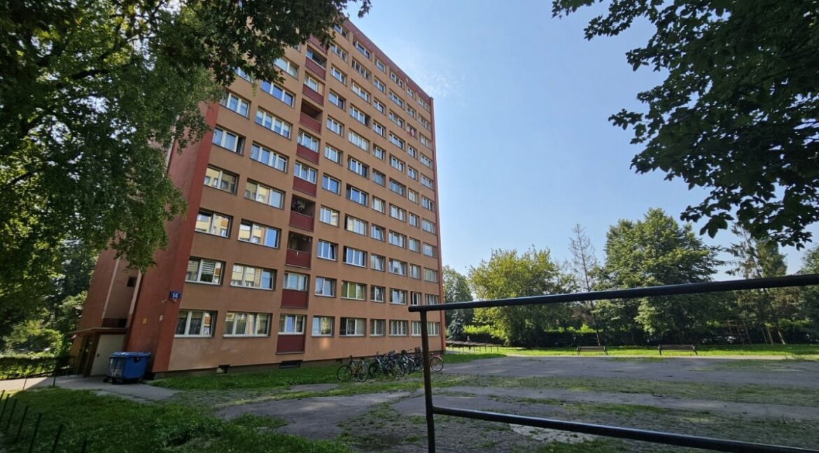 26260356