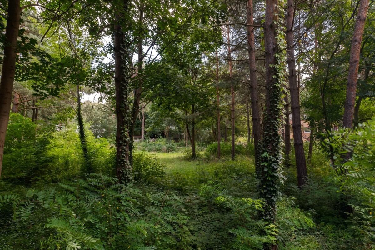 Działka budowlana 3286 m² | Konstancin-Jeziorna
