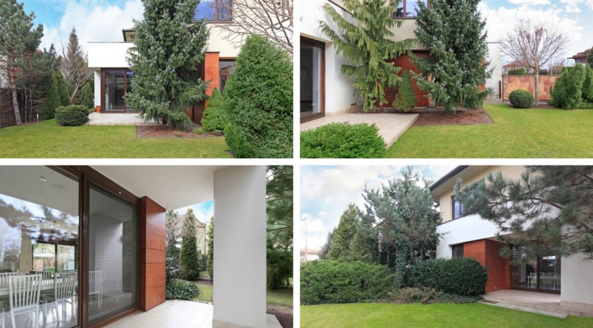 26354234