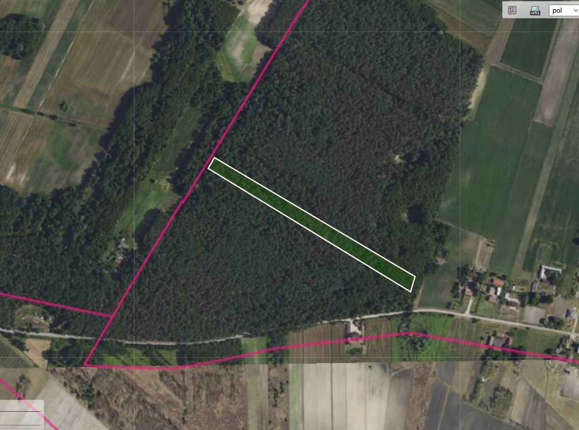 Działka leśna 1,5 ha w Justynowie