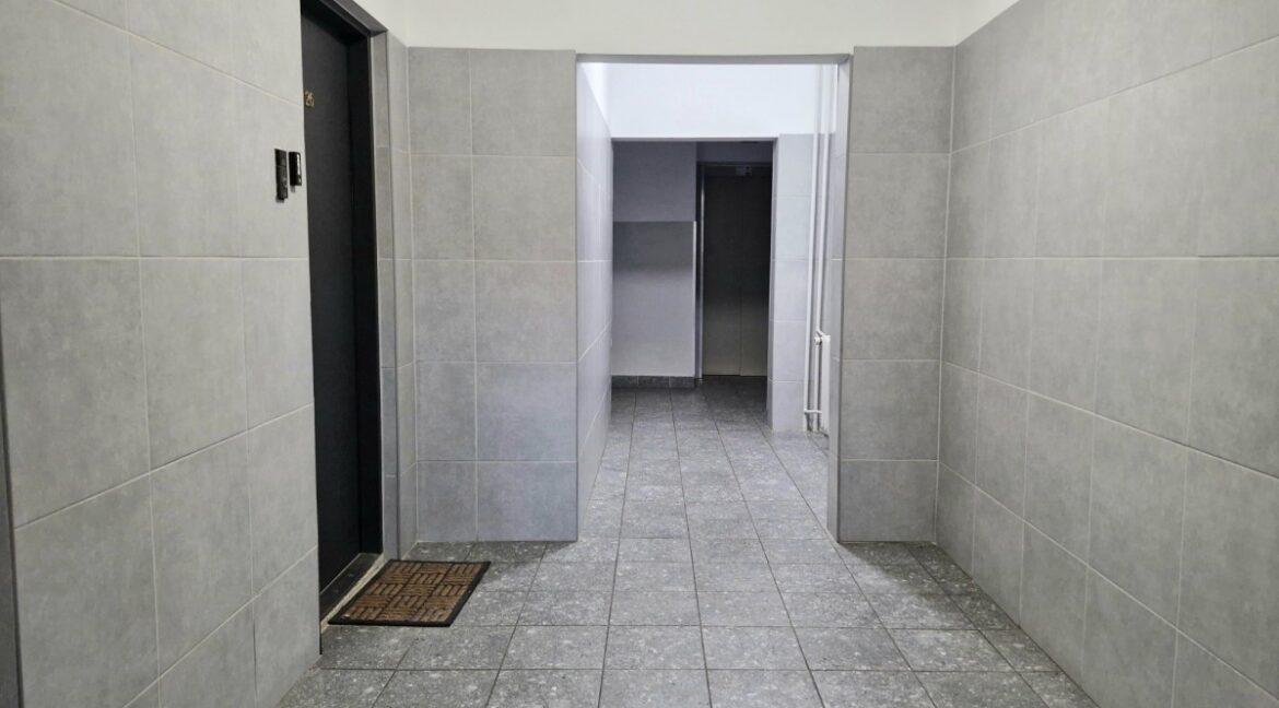 26363350